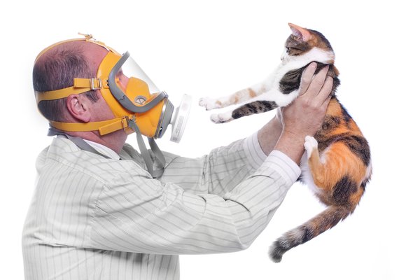 5 Ways to Reduce Allergens in the Bathroom