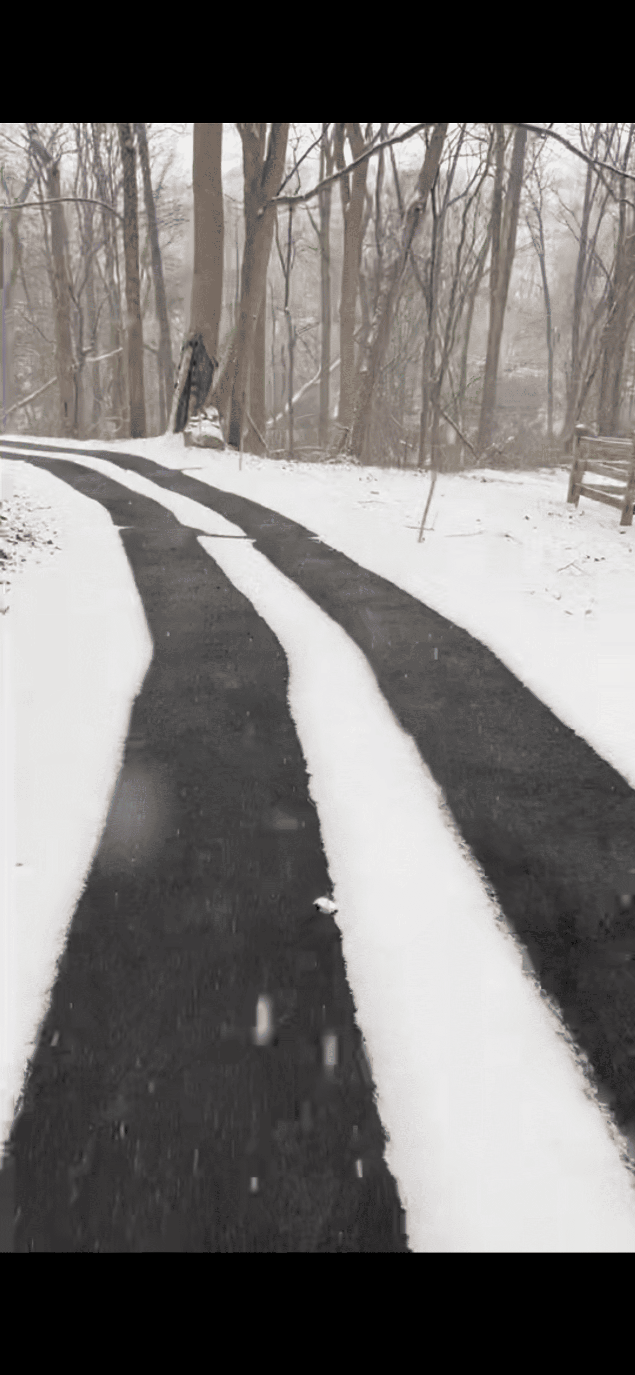 Never Shovel Again: A Heated Asphalt Driveway That Conquers Pennsylvania Winters