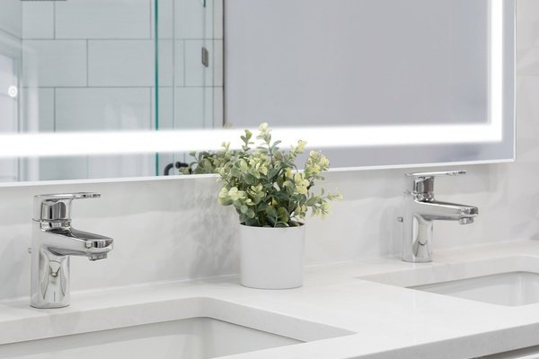 Audrey 48x24 40x28 LED Mirror CLOSE UP