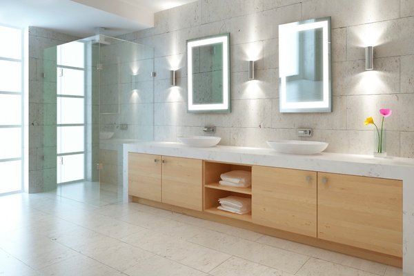 Audrey LED Mirror Light