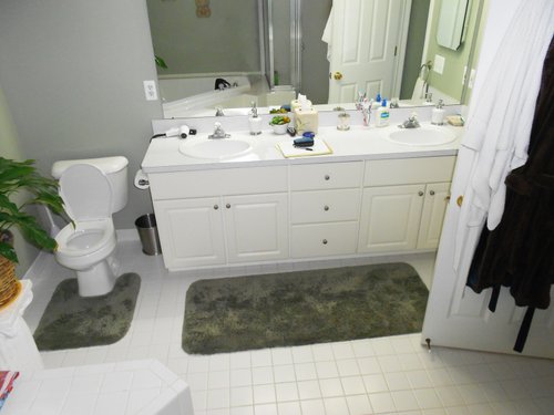 Bathroom remodel before shot WASHINGTON, MI
