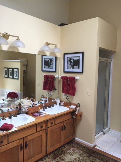 Bathroom renovation before shot