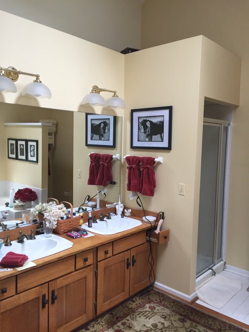 Bathroom renovation before shot