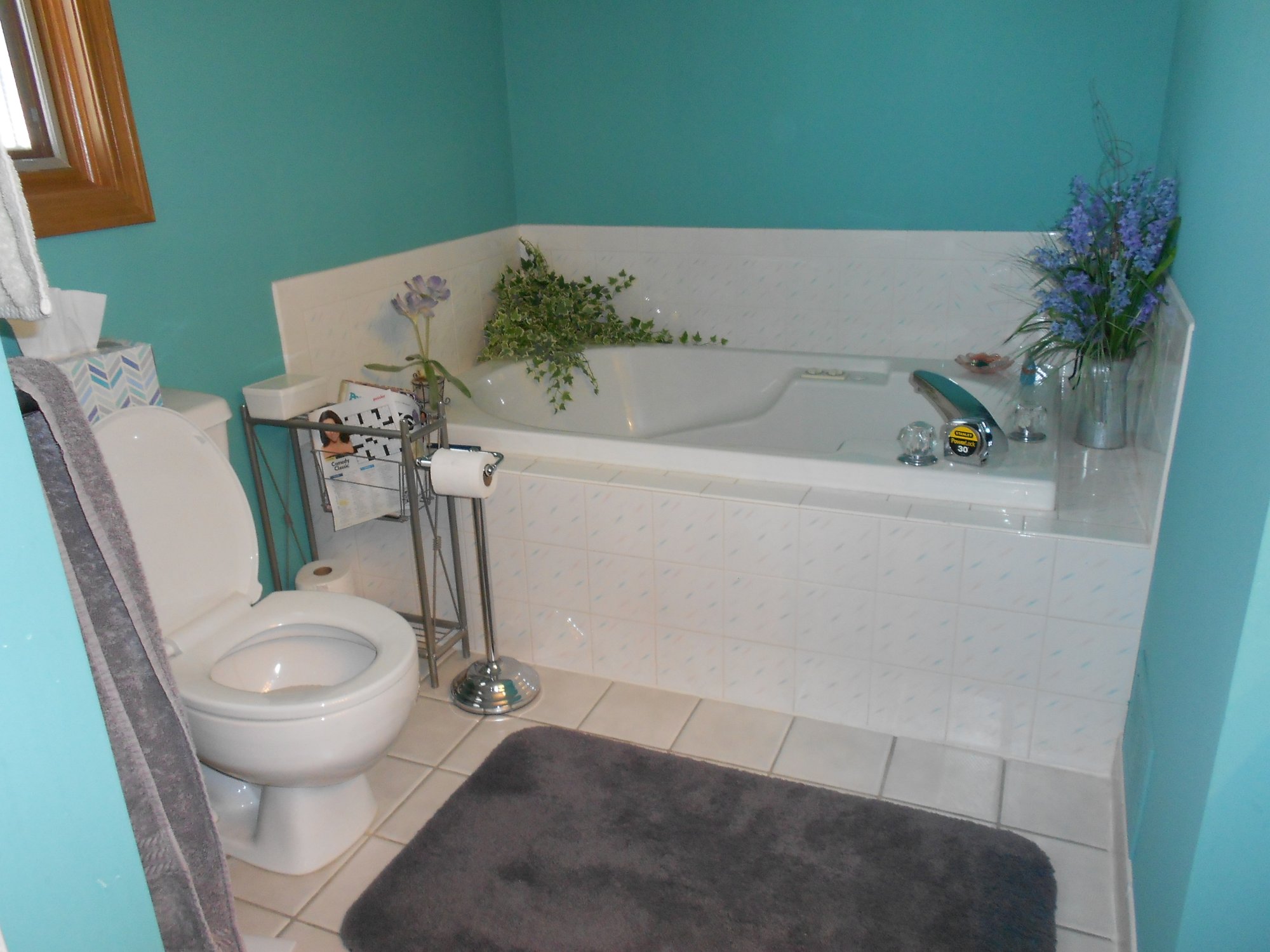Bathroom transformation before shot WASHINGTON, MI