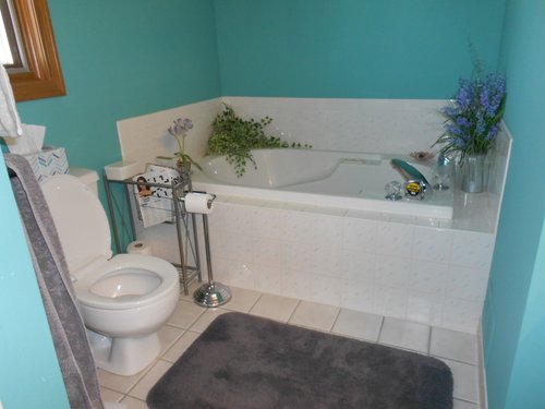 Bathroom transformation before shot WASHINGTON, MI