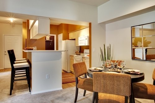 With Imagination, Renters Can Turn an Apartment into a Home