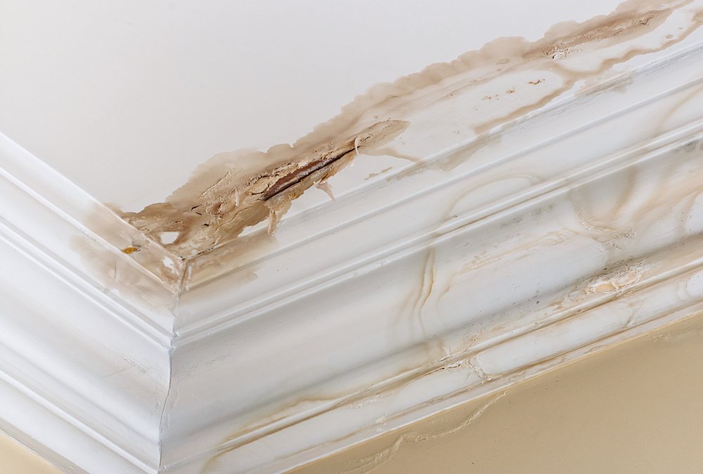 Ceiling Water Damage Ice Dam