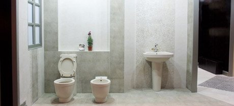 Minimalist Design Toilet and Bidet
