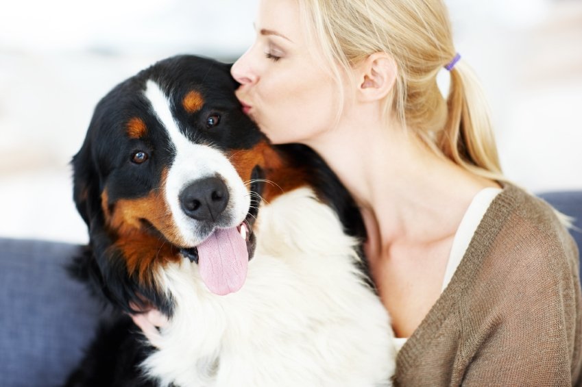 Dog Kennel With Radiant Heat
