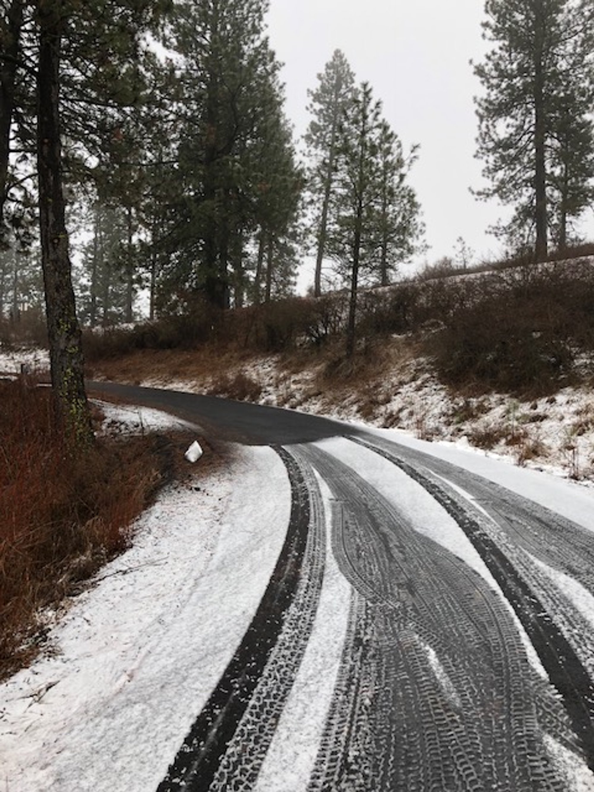 Driveway - Asphalt, Tire tracks, Snow Melt Mat