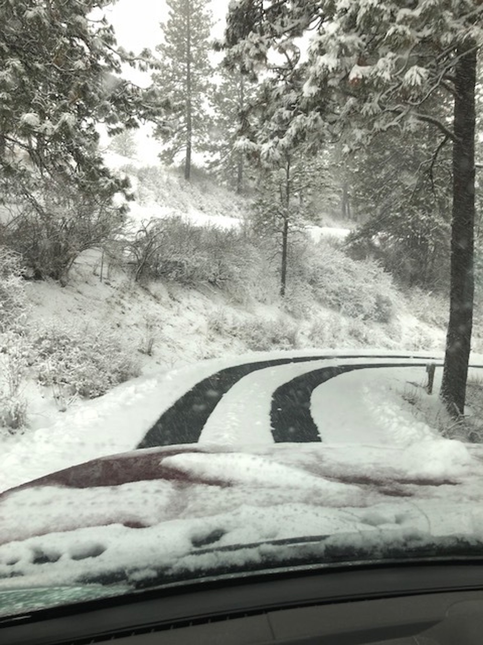 Driving down a heated driveway with tire track snow melt system