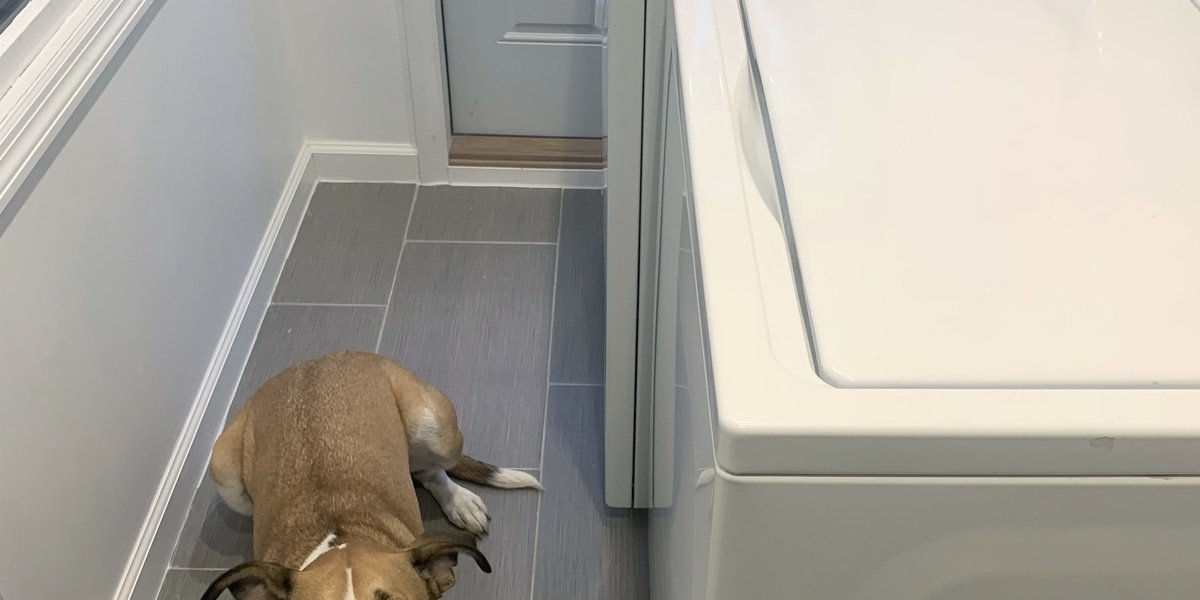 Electric floor heating installation in a mudroom after picture with appliances