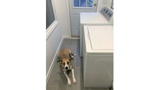 Electric floor heating installation in a mudroom after picture with appliances