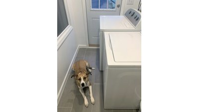 Electric floor heating installation in a mudroom after picture with appliances