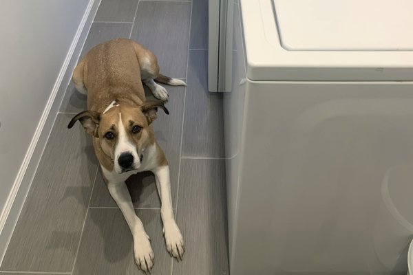 Electric floor heating installation in a mudroom after picture with appliances