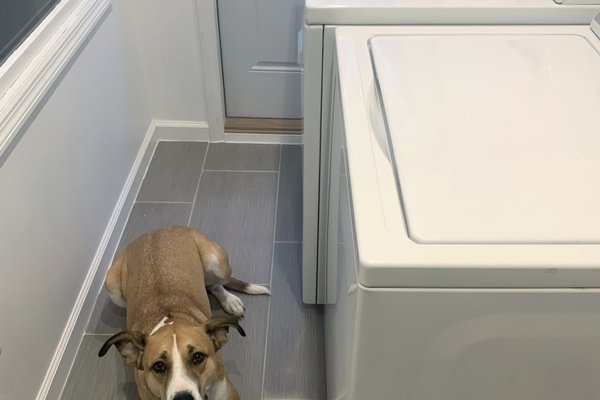 Electric floor heating installation in a mudroom after picture with appliances