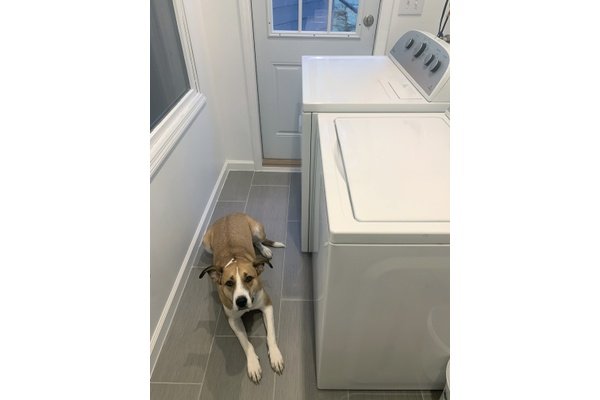 Electric floor heating installation in a mudroom after picture with appliances