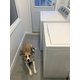 Heated tile laundry room with washer and dryer over TempZone electric floor heating.