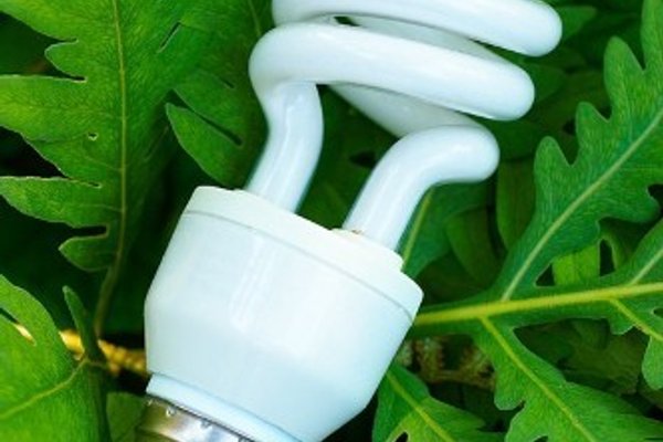 Examining the benefits of going green around the home