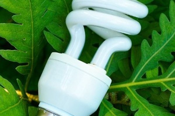 Examining the benefits of going green around the home