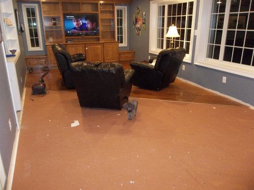 Family room before floor heating installation