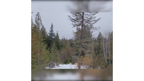 Floor Heating Installation for a Yurt Wilderness Retreat