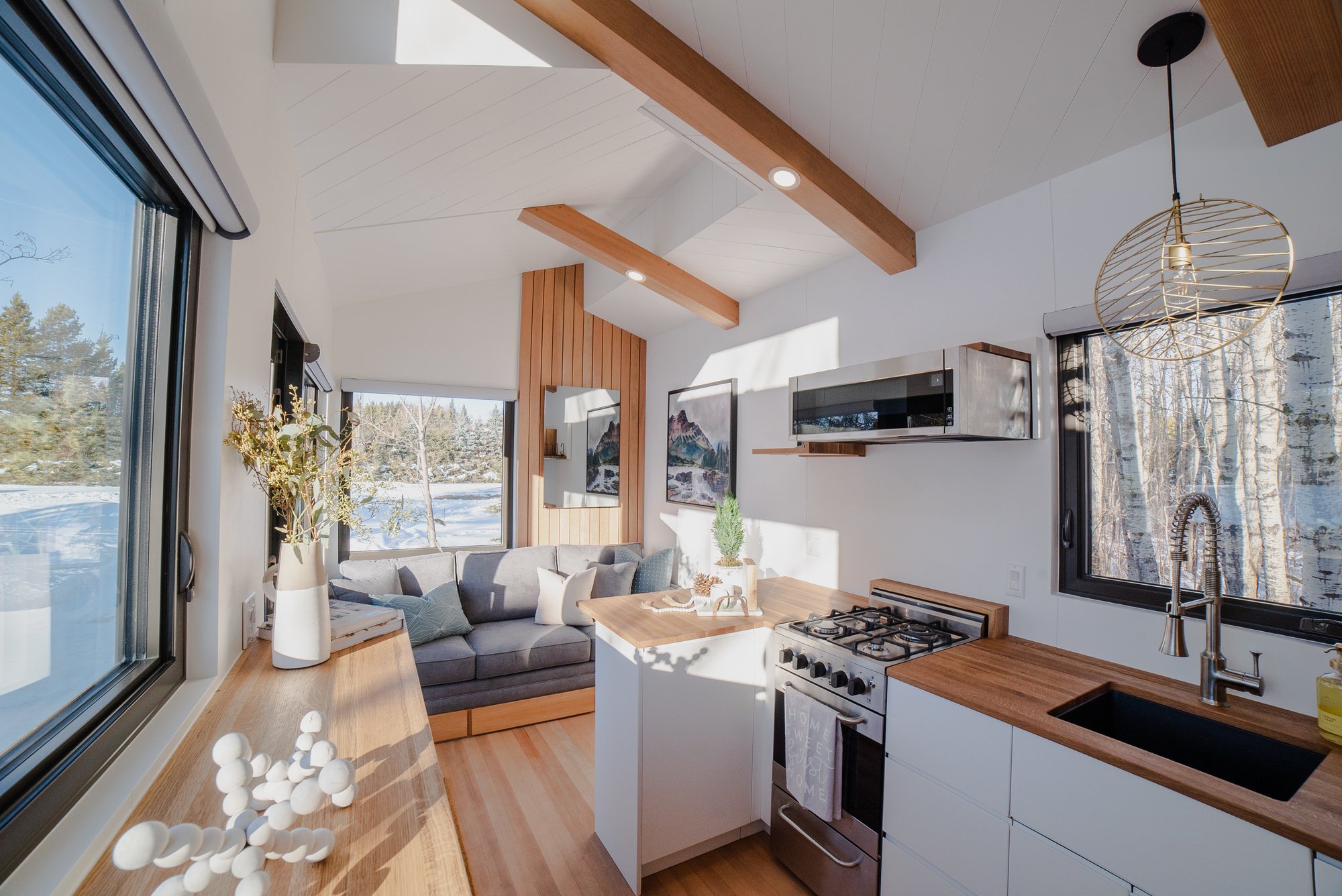 Interior of Fritz Tiny Home from kitchen