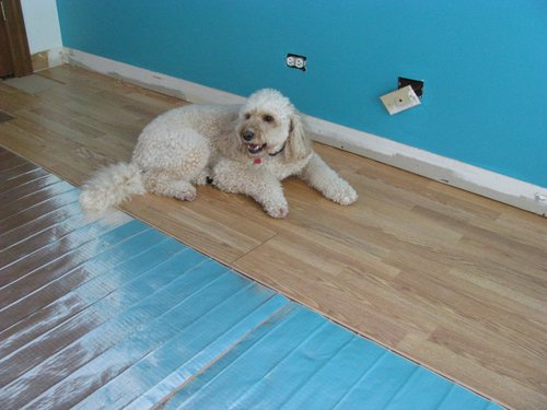 Laminate floor over Environ heating mat  (4)