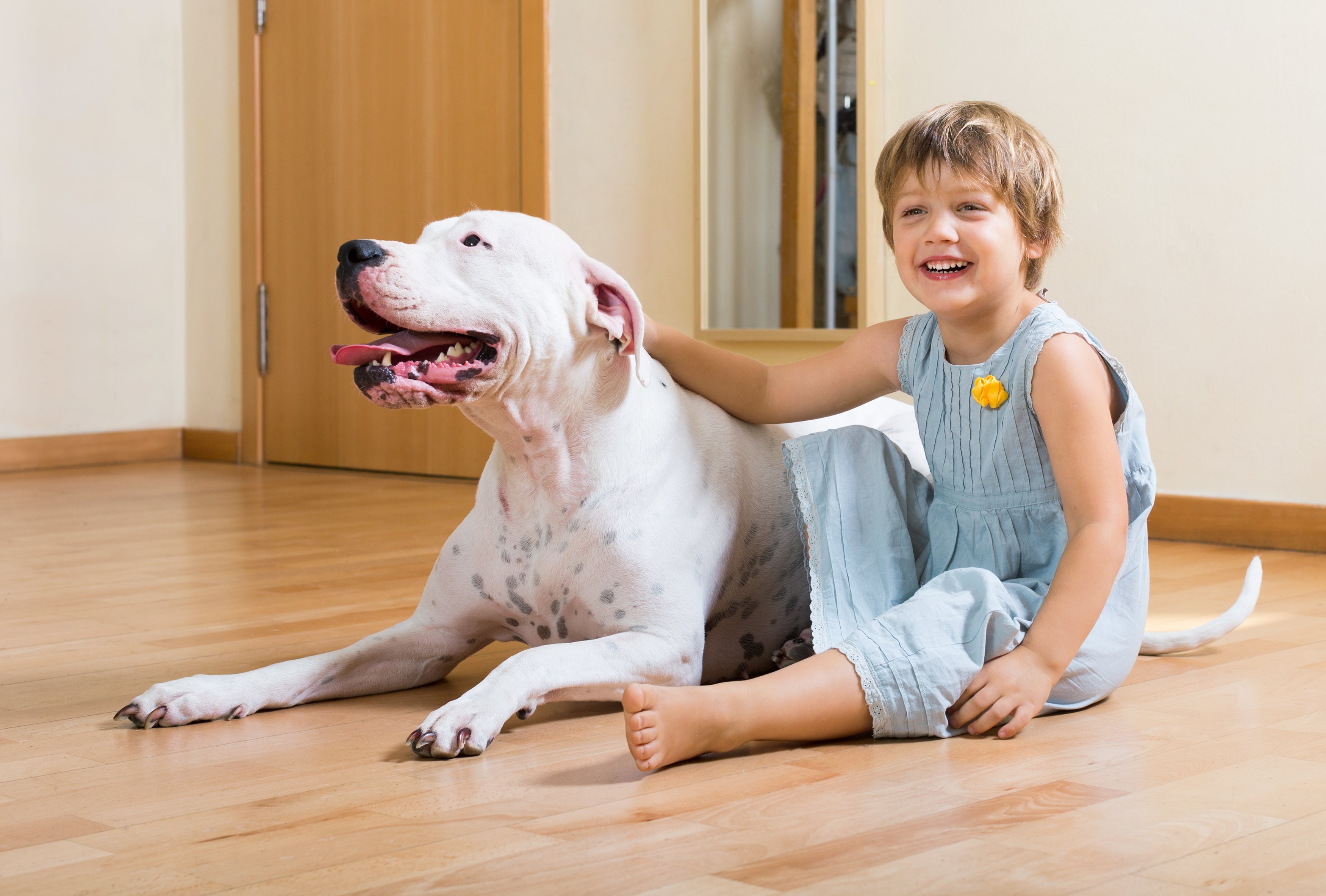 Little girl with dog sitting barefeet on Wooden floor