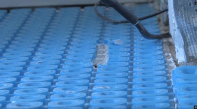 Manufacturer’s Splice is Embedded Prodeso