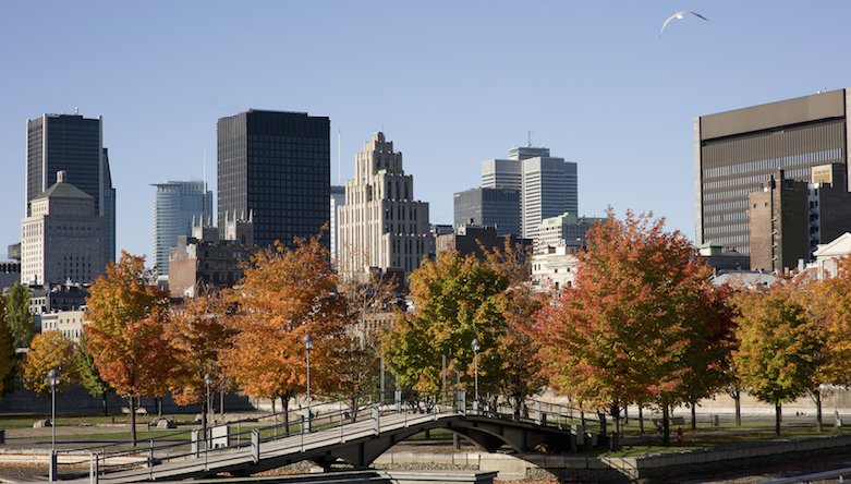 Montreal Skyline in Autumn