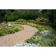 A curving brick paver walkway lined with vibrant flower beds and a low retaining wall in a landscaped garden.