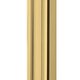 Polished Gold