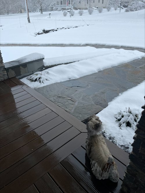 Effortless Winter Safety: Snow-Free Paver Walkway in Newtown, PA