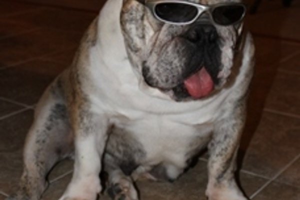 Project "Kitchen Installation"