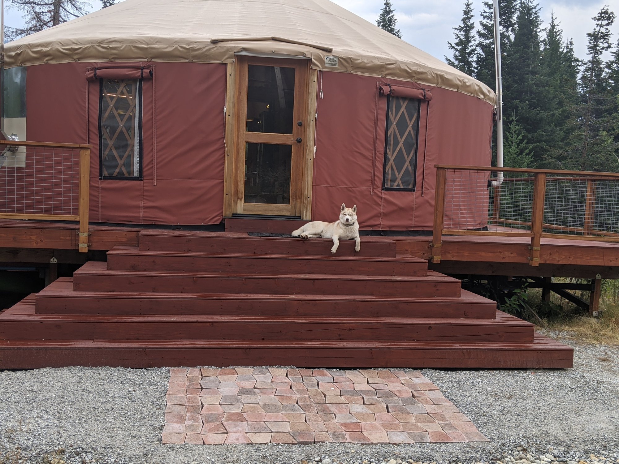 Basecamp Cascadia Yurt  with dog
