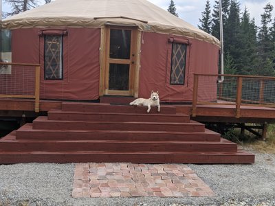 Luxurious In-Floor Heating Transforms Washington Yurt