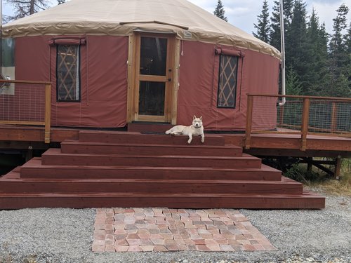 Basecamp Cascadia Yurt  with dog