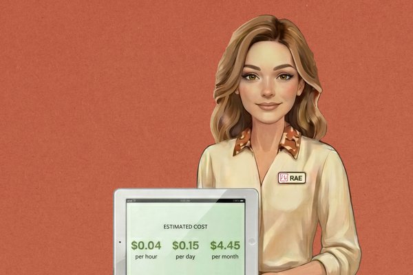 Rae Radiant - Cost Estimator