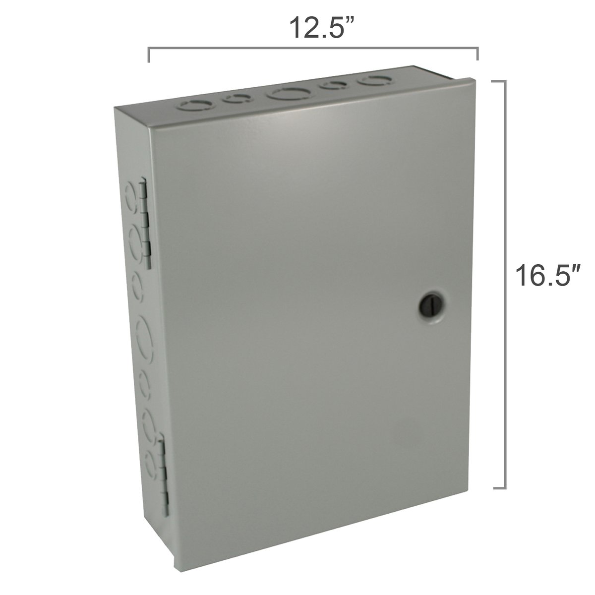 Relay Panel Large RLY-12PL