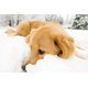 Salt and other chemical snow-melting substances can be harmful to animals