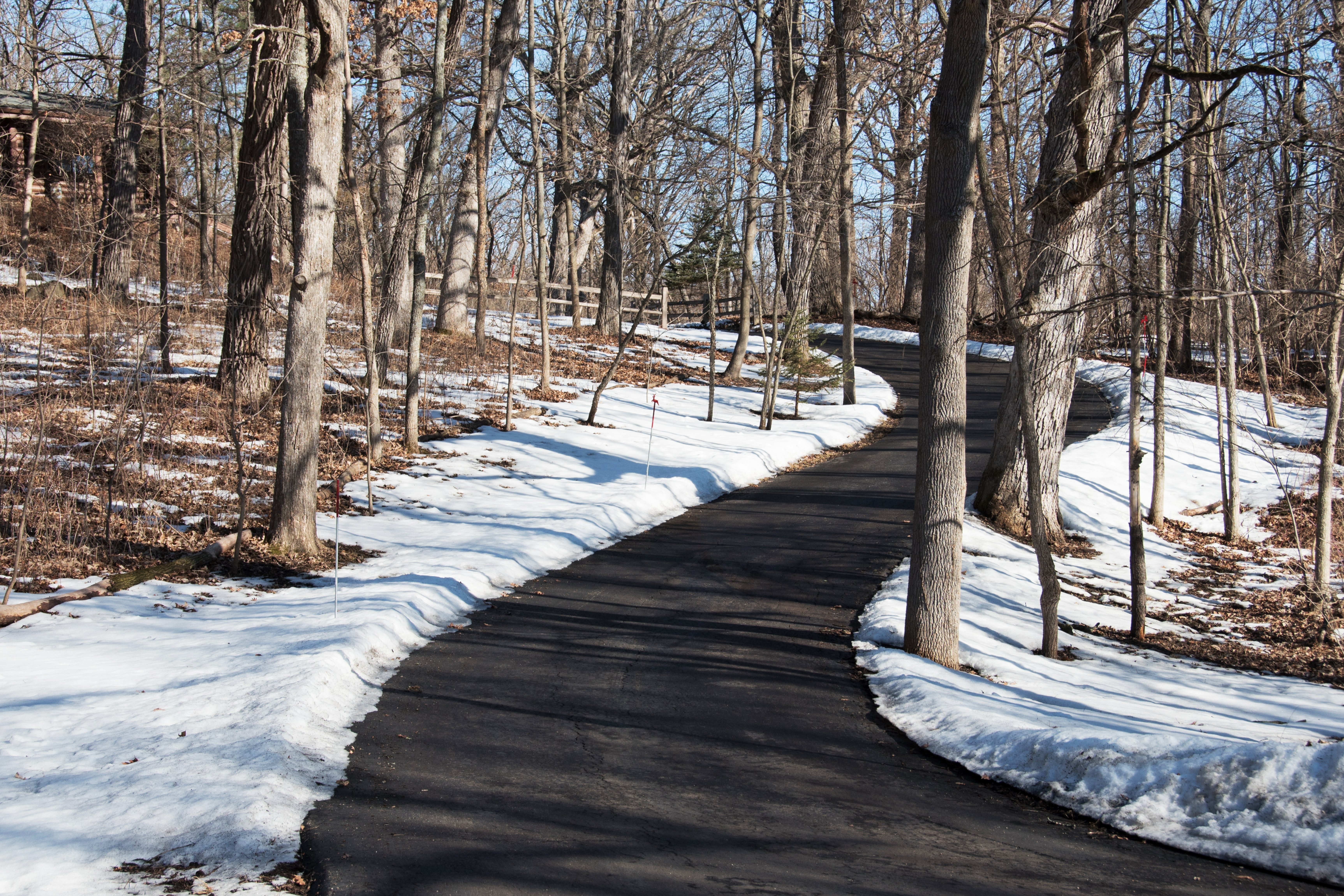 A snow-free asphalt driveway winding through a wooded landscape after a winter storm, maintained by a snow melting system.