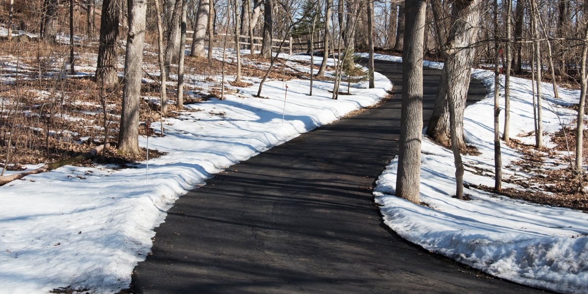 A snow-free asphalt driveway winding through a wooded landscape after a winter storm, maintained by a snow melting system.
