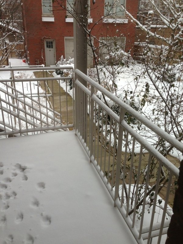 Shovel-Free Safety: A Commercial Heated Walkway in New Lenox, IL