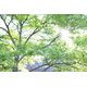 Sunlight Surprising States that Use Radiant Heating