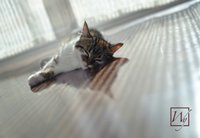 The Sun, Radiant Heat & Bonfires: All Forms of Far Infrared Heat