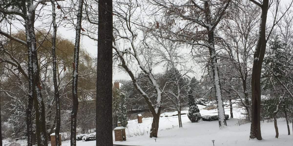 A snow-covered driveway with two clear, melted tire tracks indicating an embedded electric snow melting system.