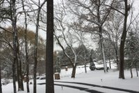 Tire tracks - WarmlyYours Snow Melting