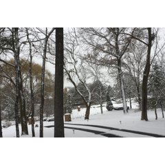 A snow-covered driveway with two clear, melted tire tracks indicating an embedded electric snow melting system.