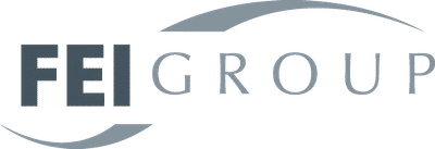 FEI Group